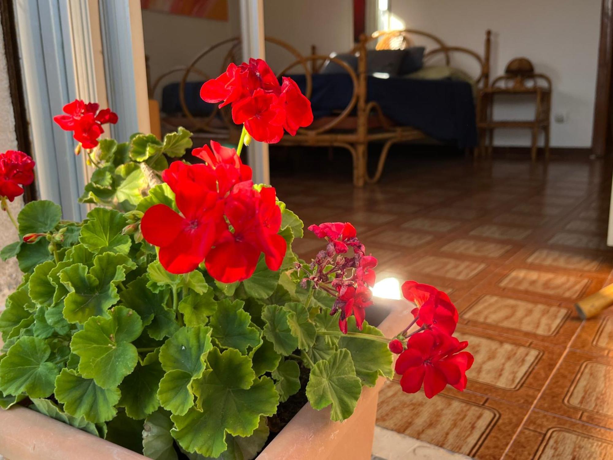 A Casa Di Mara Apartment Мондело Екстериор снимка